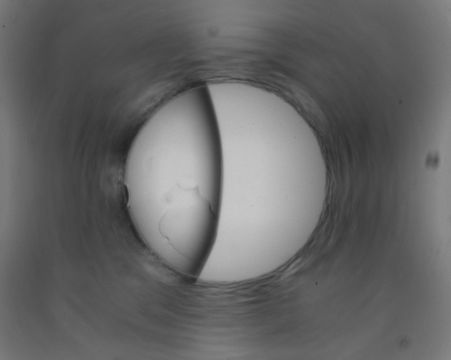 X0000092020329200709271554