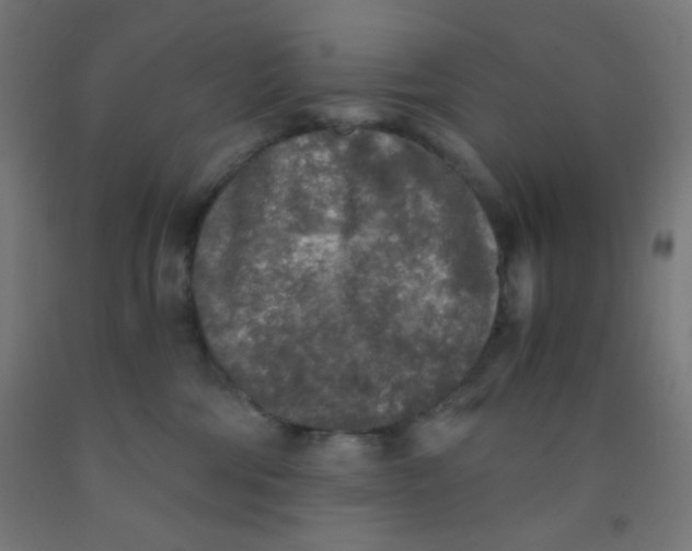 X0000092020330200709271554