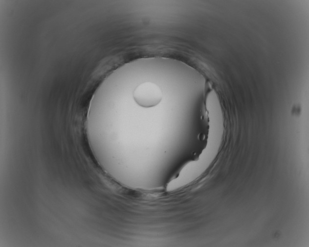 X0000092020333200709271554