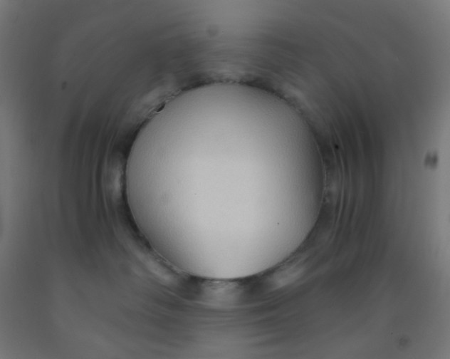 X0000092020334200709271554