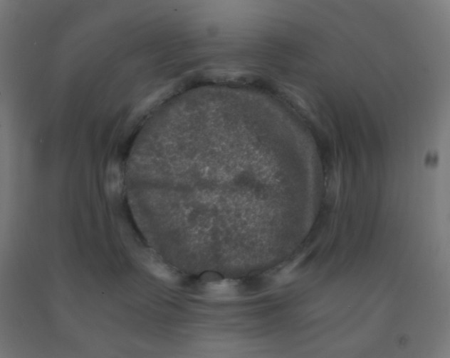 X0000092020335200709271554