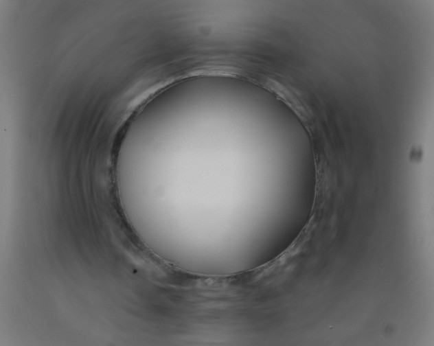 X0000092020338200709271553