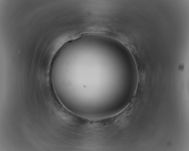 X0000092020340200709271554