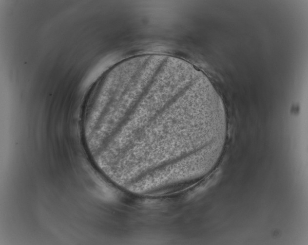 X0000092020341200709271554