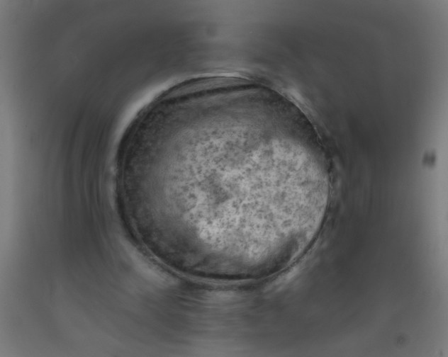 X0000092020342200709271554