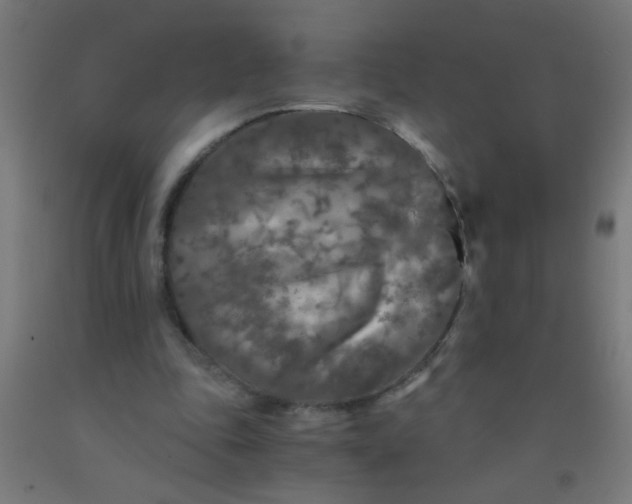 X0000092020343200709271554