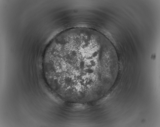 X0000092020347200709271554