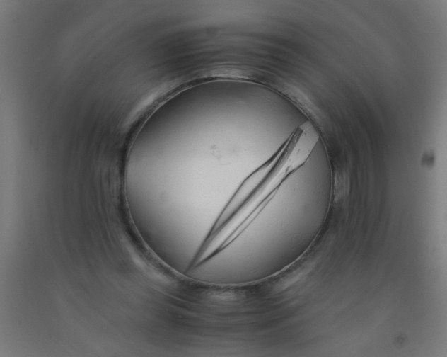 X0000092020349200709271554