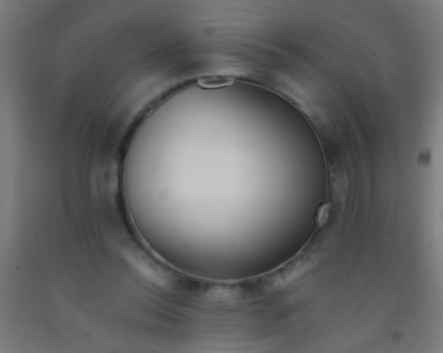 X0000092020350200709271554