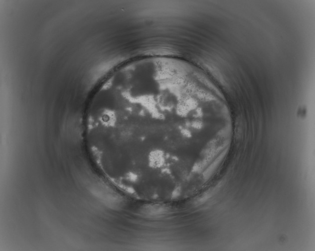 X0000092020351200709271554