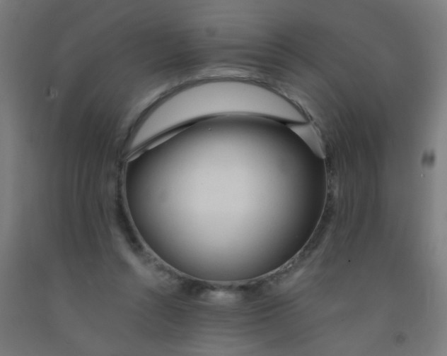 X0000092020352200709271554