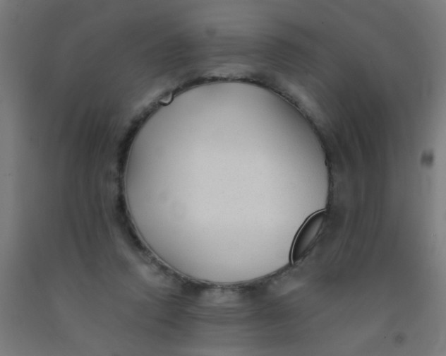 X0000092020354200709271554