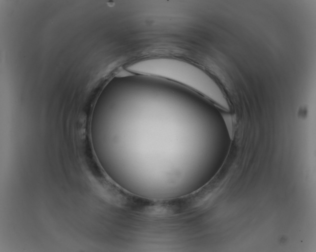 X0000092020356200709271554