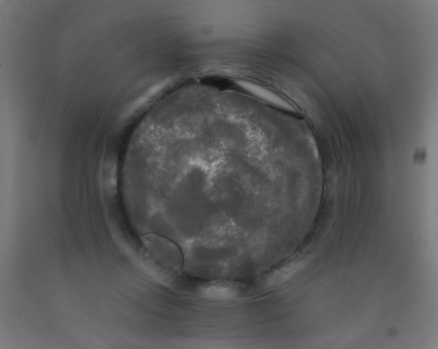 X0000092020358200709271554