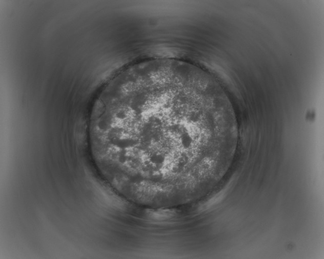 X0000092020359200709271554