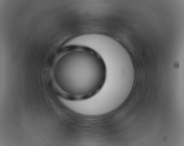 X0000092020360200709271554