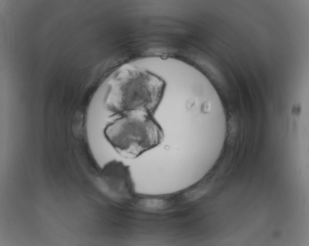 X0000092020361200709271554