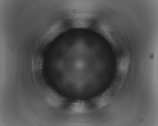 X0000092020362200709271554