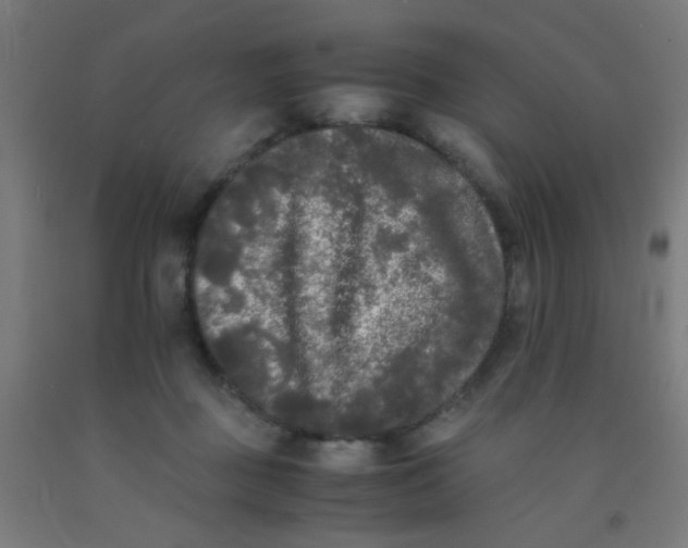 X0000092020363200709271554