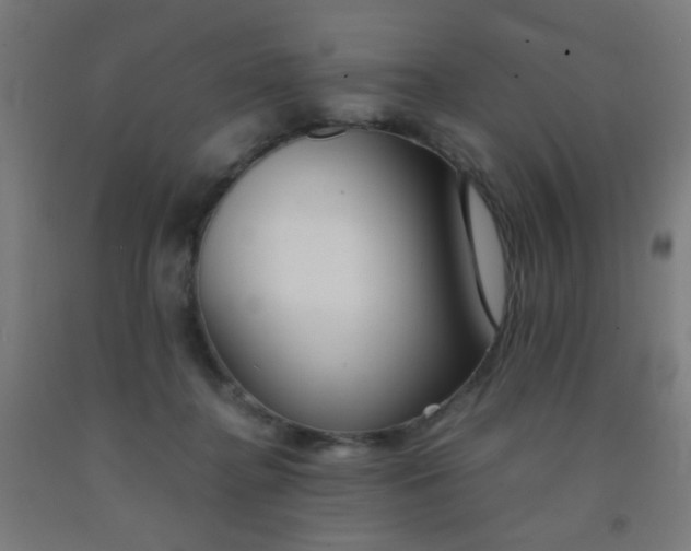 X0000092020364200709271554