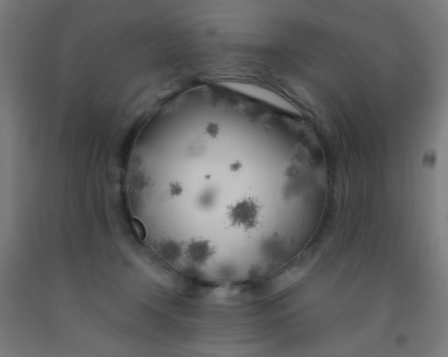 X0000092020366200709271554