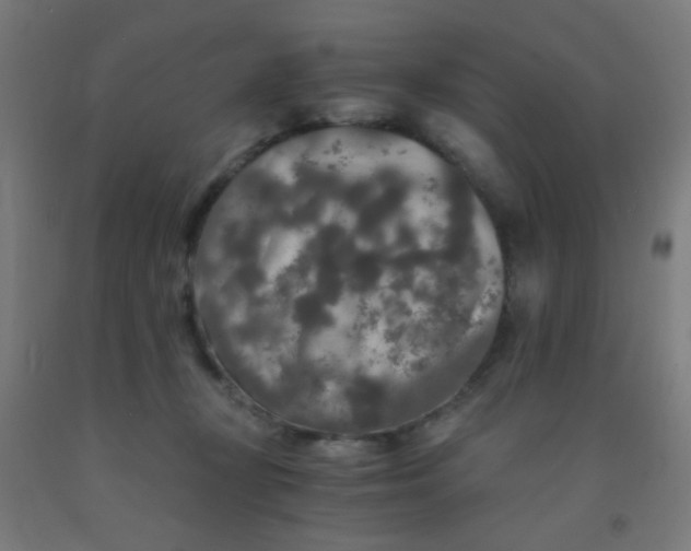 X0000092020367200709271554