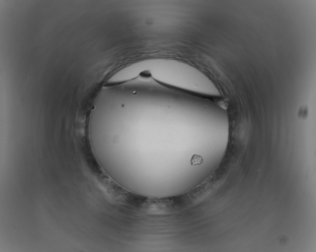 X0000092020368200709271554