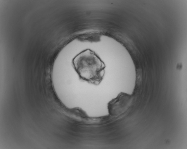 X0000092020369200709271554