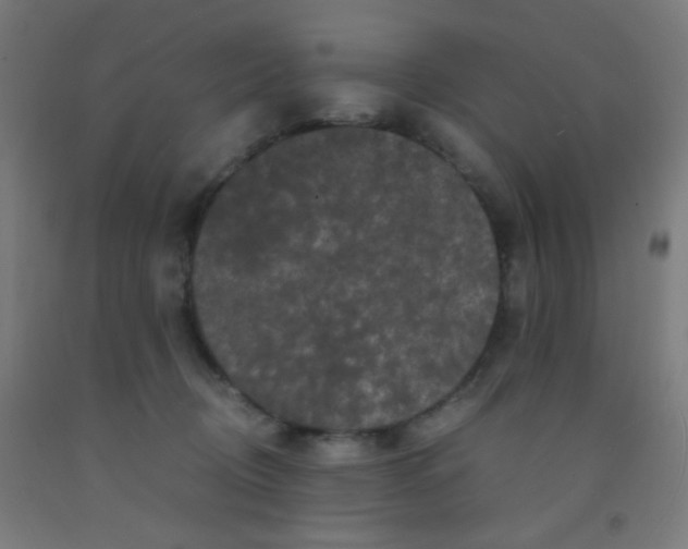 X0000092020370200709271554