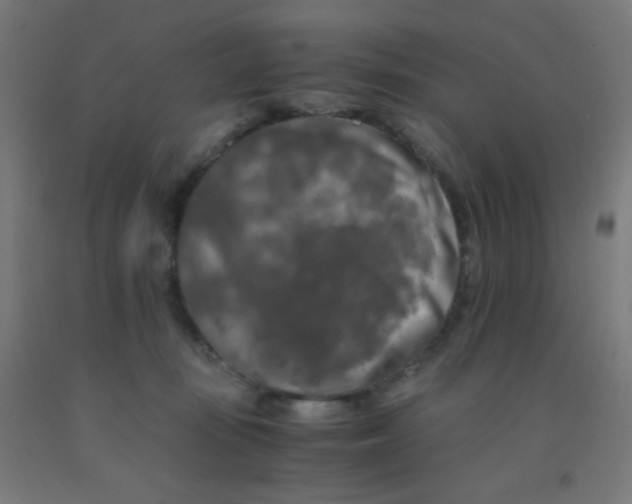 X0000092020371200709271554