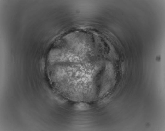 X0000092020372200709271554