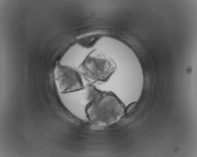 X0000092020373200709271554