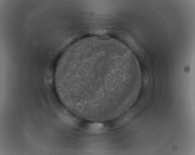 X0000092020374200709271554