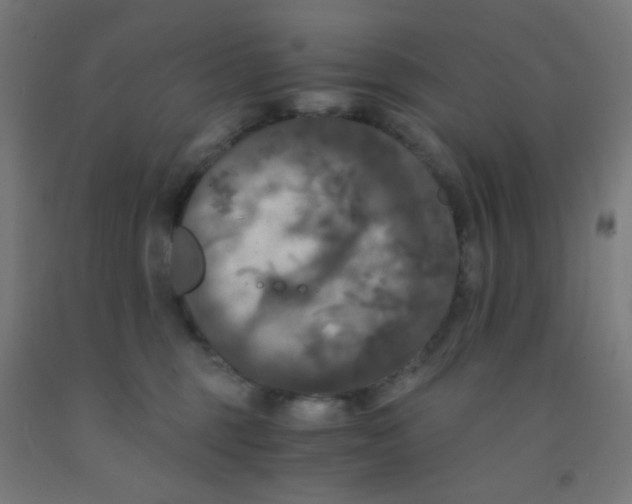 X0000092020375200709271554