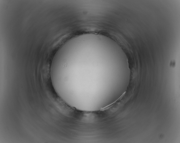 X0000092020376200709271554