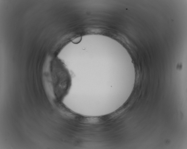 X0000092020377200709271554