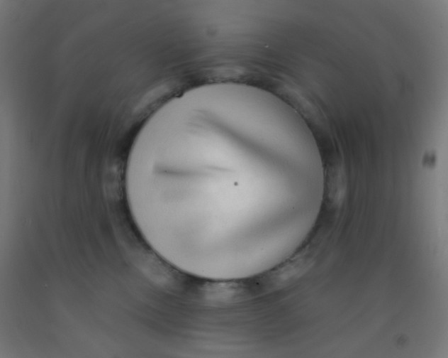 X0000092020378200709271554