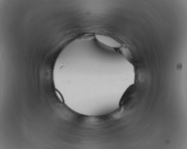 X0000092020380200709271554