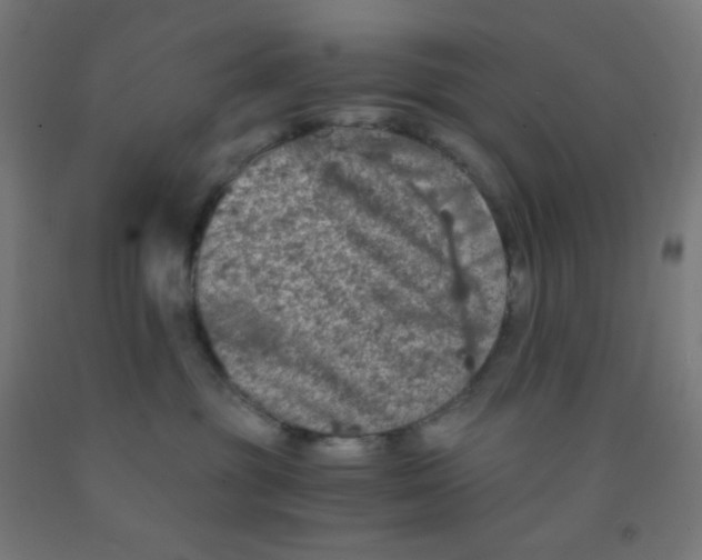 X0000092020381200709271554