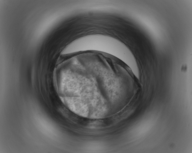 X0000092020382200709271554