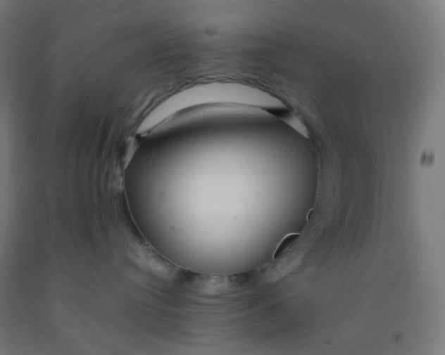 X0000092020384200709271554