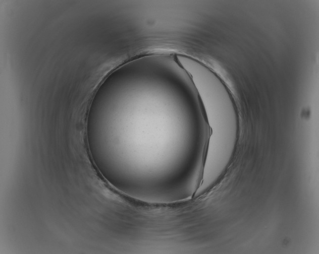 X0000092020385200709271553