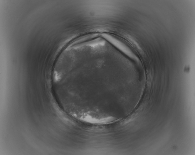 X0000092020386200709271553