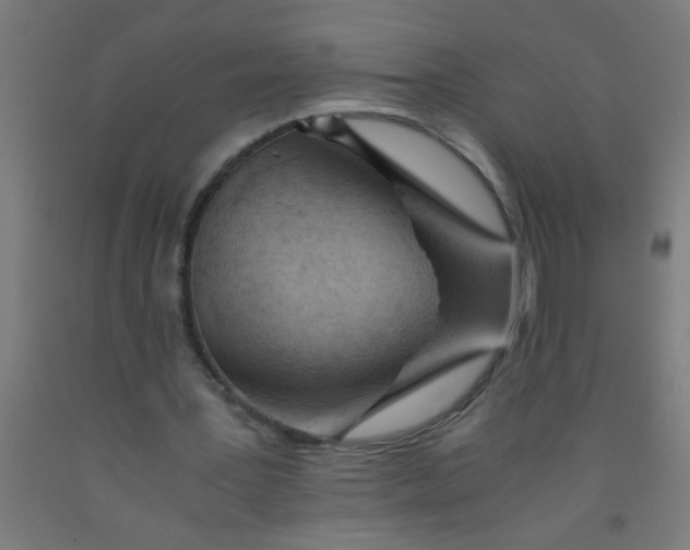 X0000092020387200709271553