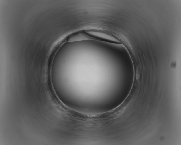 X0000092020388200709271553