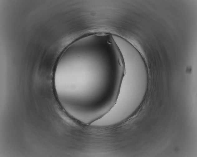 X0000092020389200709271553