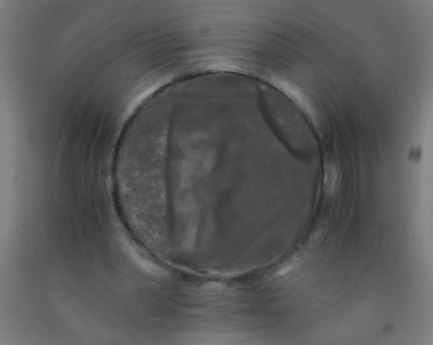 X0000092020390200709271553