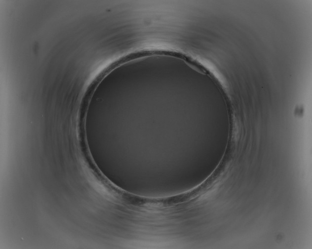 X0000092020391200709271553