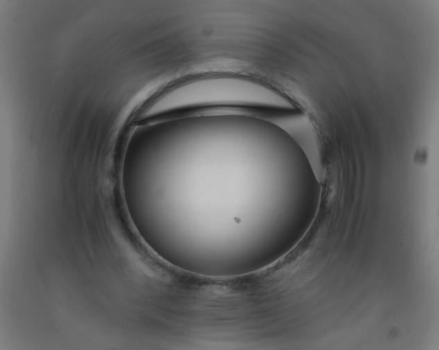 X0000092020392200709271553