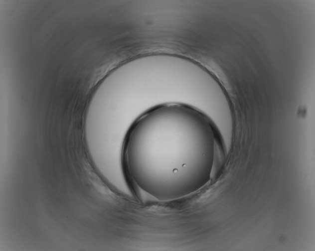 X0000092020393200709271553